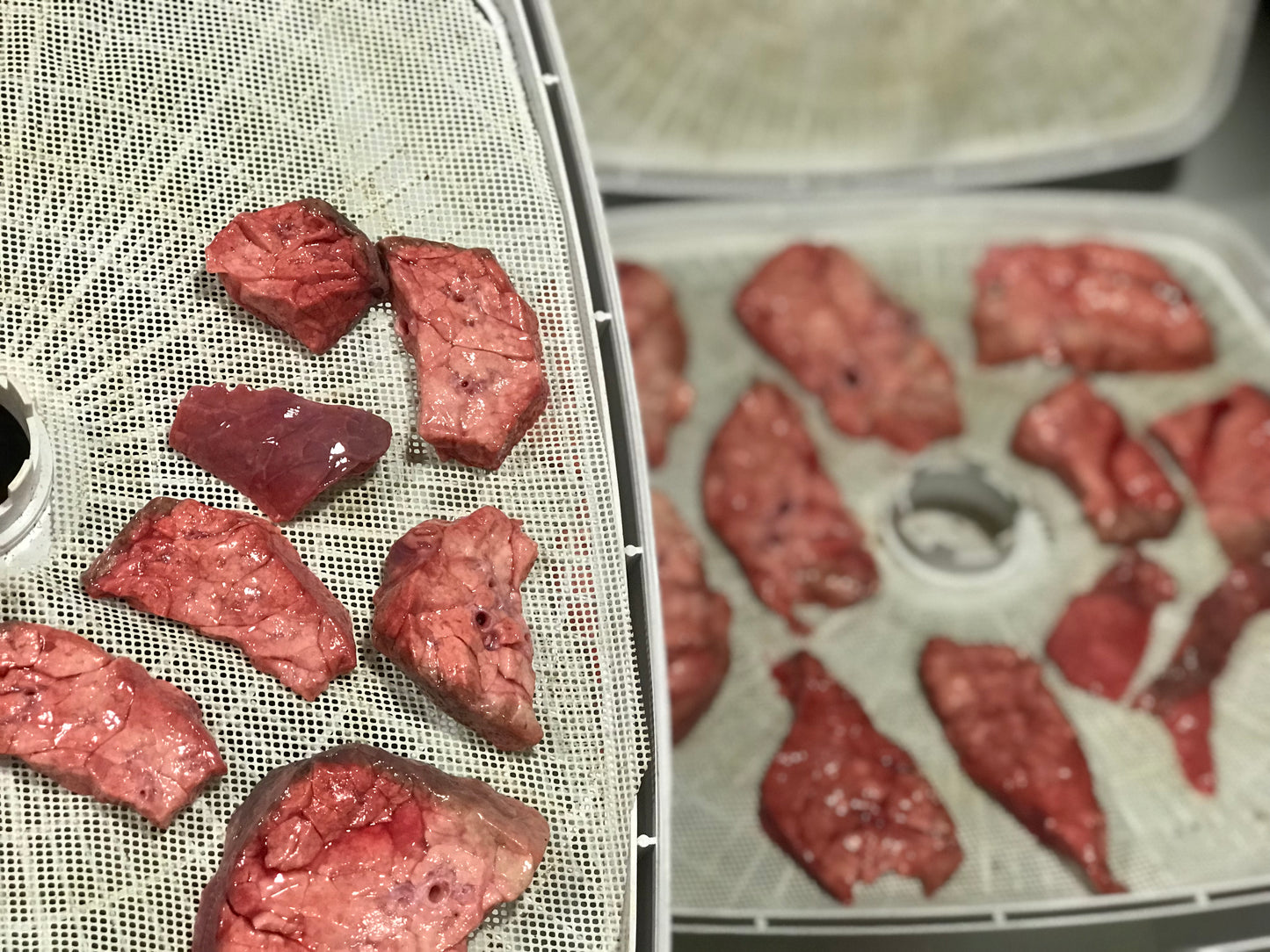 Dehydrated Beef Lung